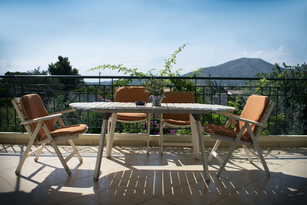 Гостевой дом Anavyssos Garden House Палеа-Фокеа Экстерьер фото